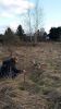 k-2015-04-02 18.48.52.jpg